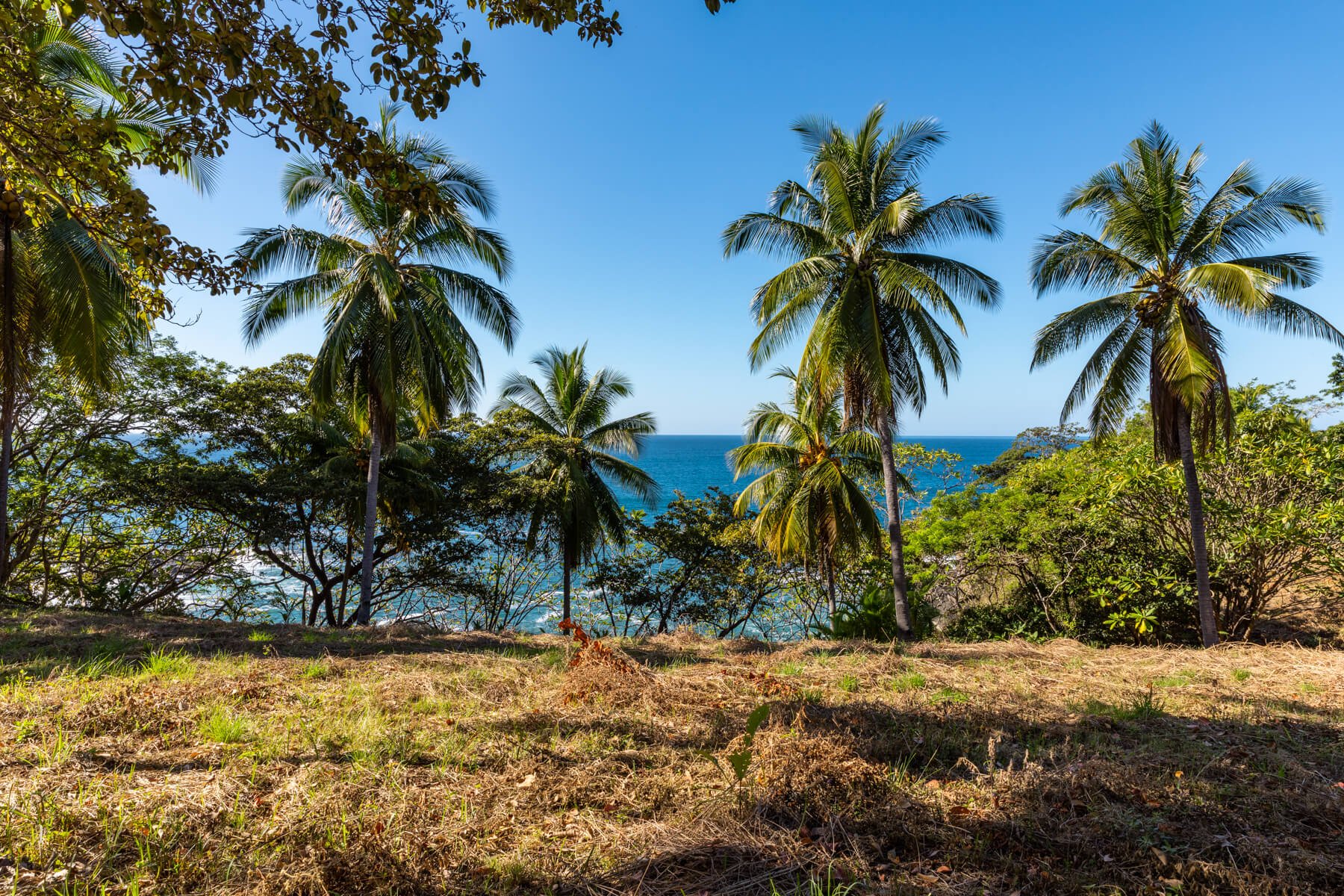 Playa-Roble-Beachfront-Sothebys-Wanderlust-Realty-Real-Estate-Rentals-Nosara-Costa-Rica-15.jpg