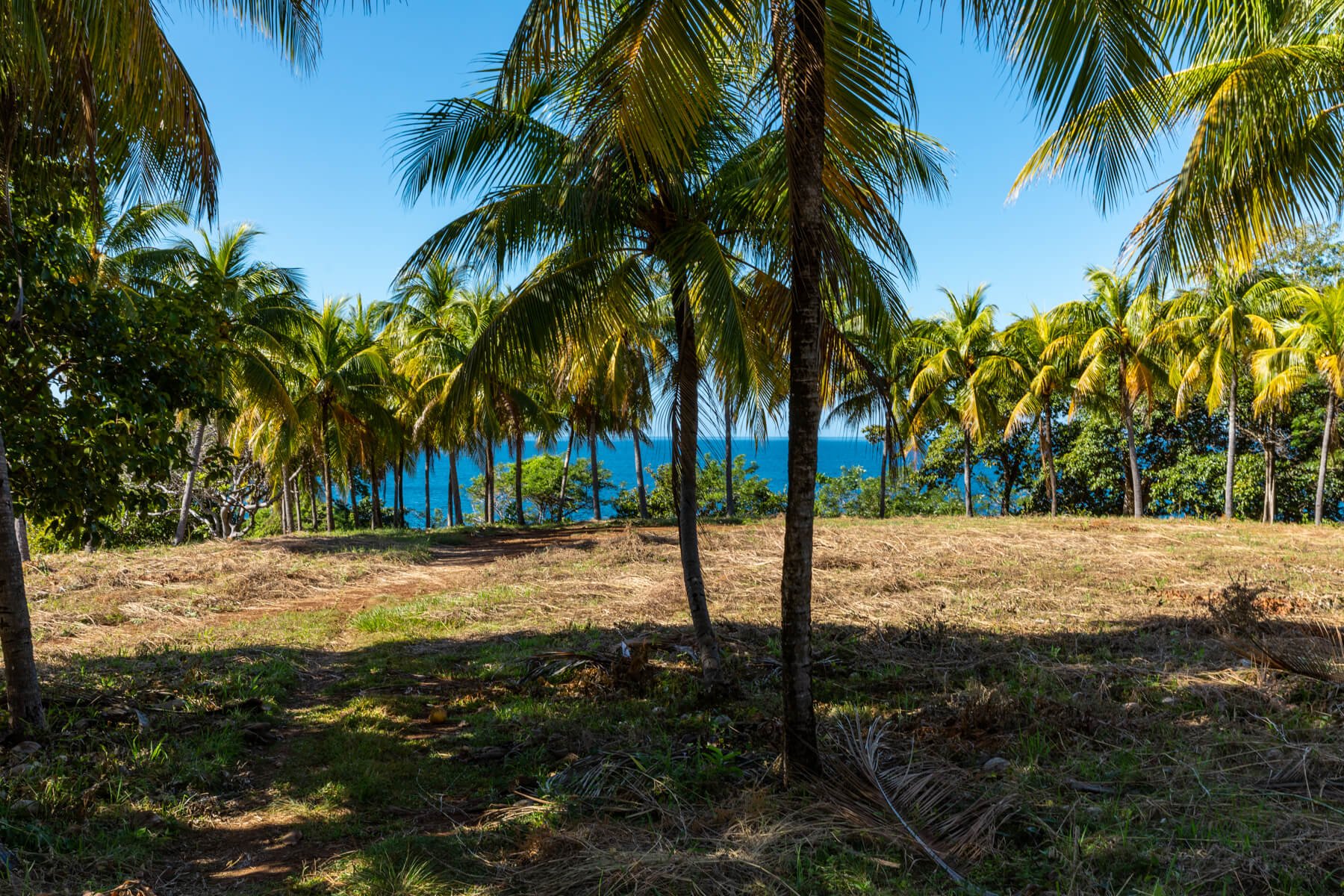 Playa-Roble-Beachfront-Sothebys-Wanderlust-Realty-Real-Estate-Rentals-Nosara-Costa-Rica-20.jpg