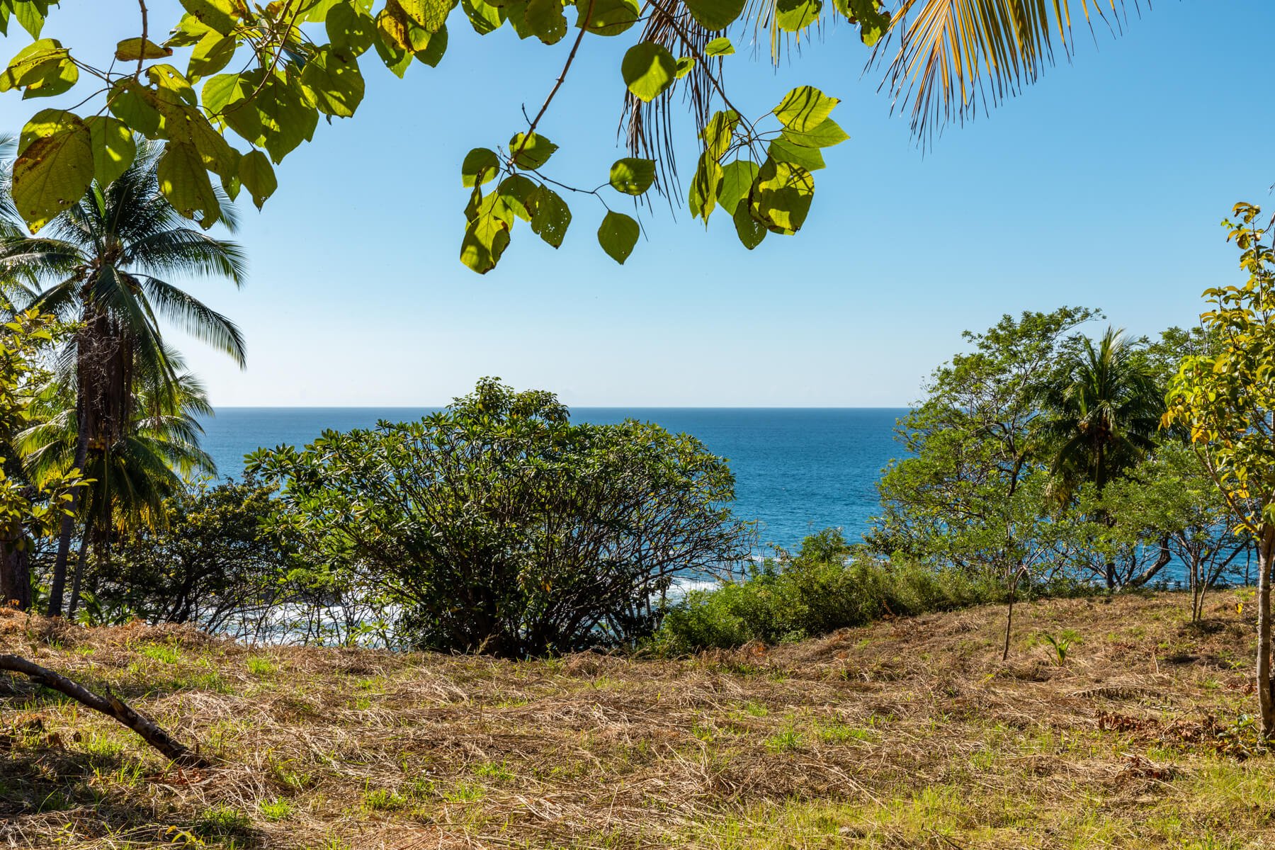 Playa-Roble-Beachfront-Sothebys-Wanderlust-Realty-Real-Estate-Rentals-Nosara-Costa-Rica-21.jpg