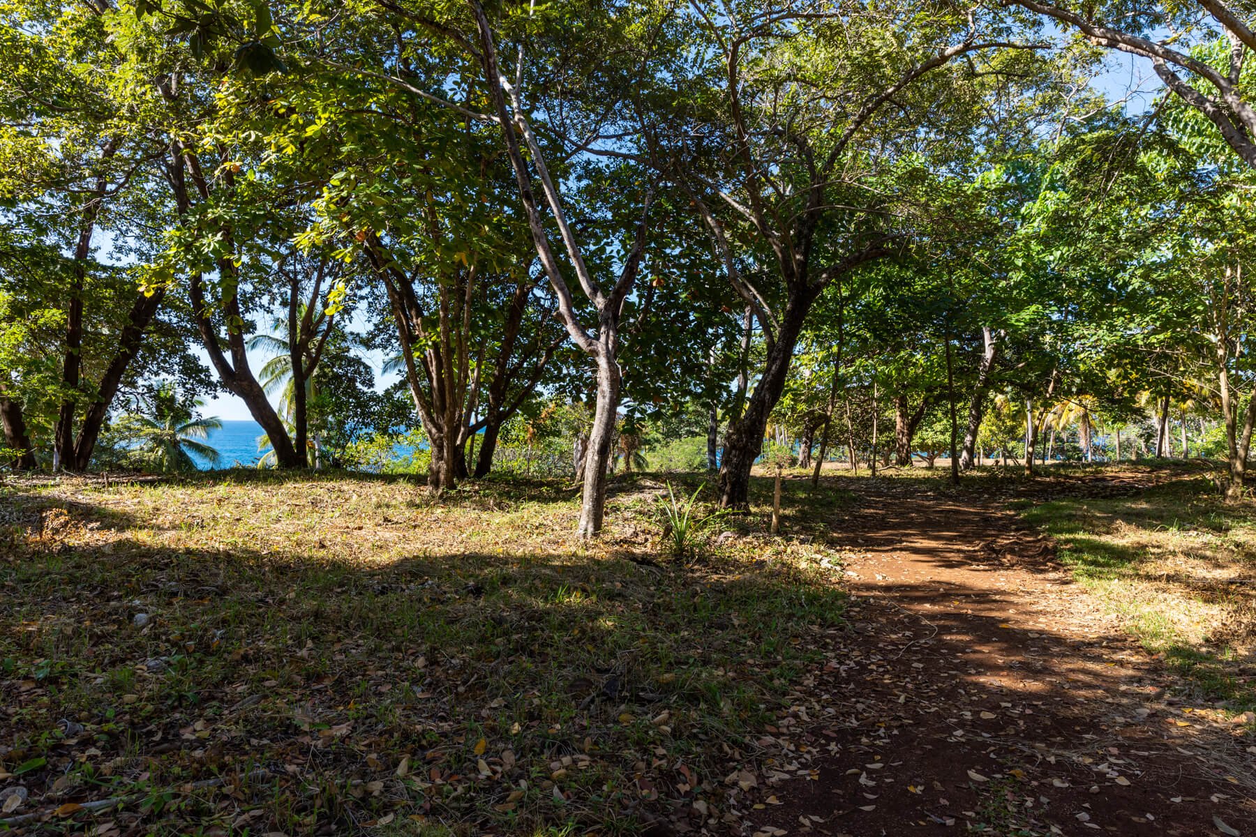 Playa-Roble-Beachfront-Sothebys-Wanderlust-Realty-Real-Estate-Rentals-Nosara-Costa-Rica-22.jpg