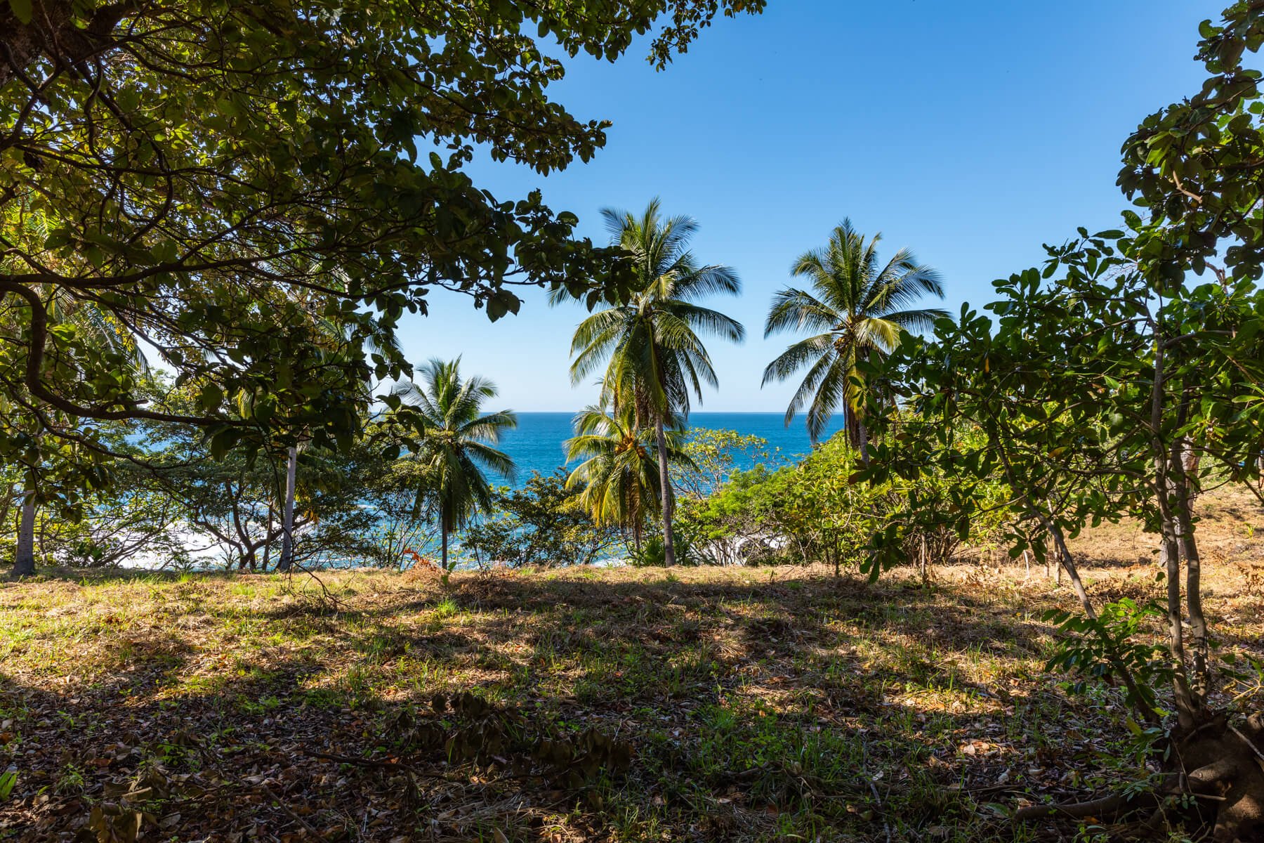 Playa-Roble-Beachfront-Sothebys-Wanderlust-Realty-Real-Estate-Rentals-Nosara-Costa-Rica-23.jpg