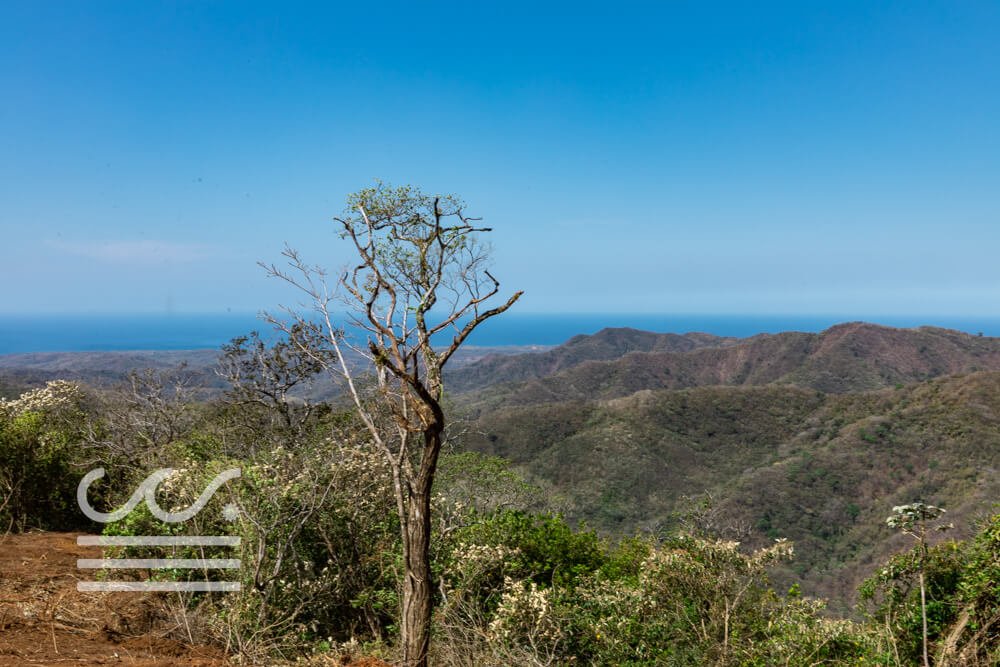 Finca Vista al Mar-Sothebys-Wanderlust-Realty-Real-Estate-Rentals-Nosara-Costa-Rica-2.jpg