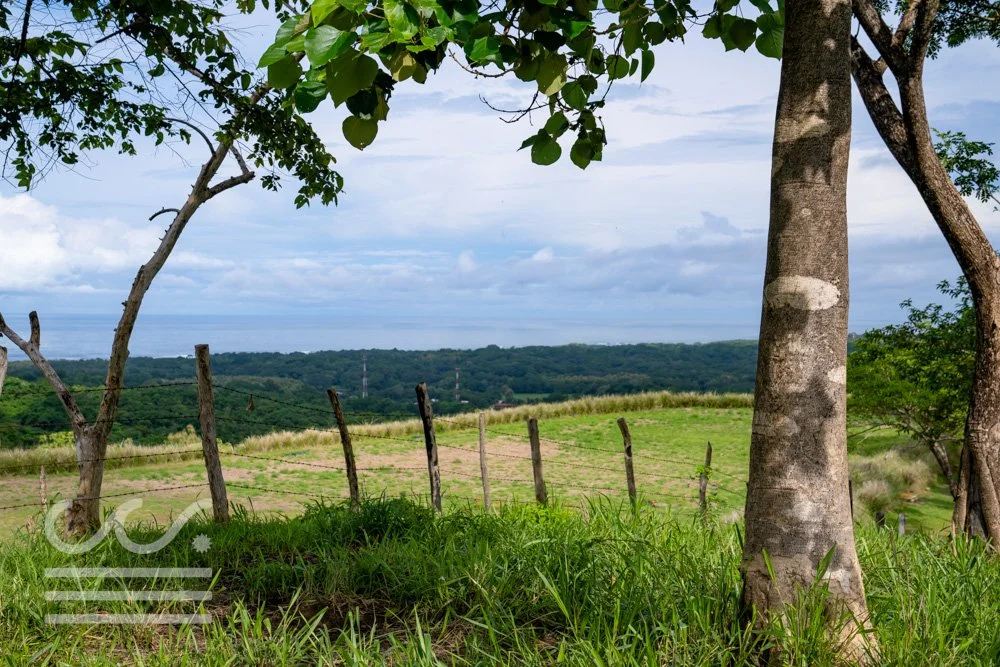 Finca Marberlla 1 y 2-3.jpg