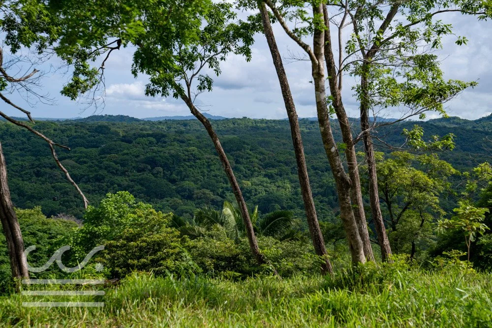 Finca Marberlla 1 y 2-9.jpg