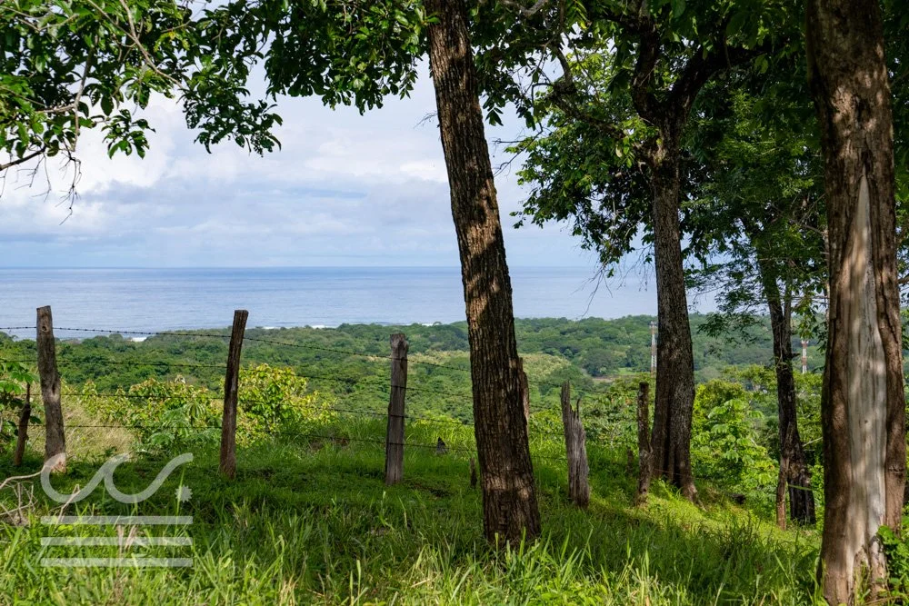 Finca Marberlla 1 y 2-10.jpg