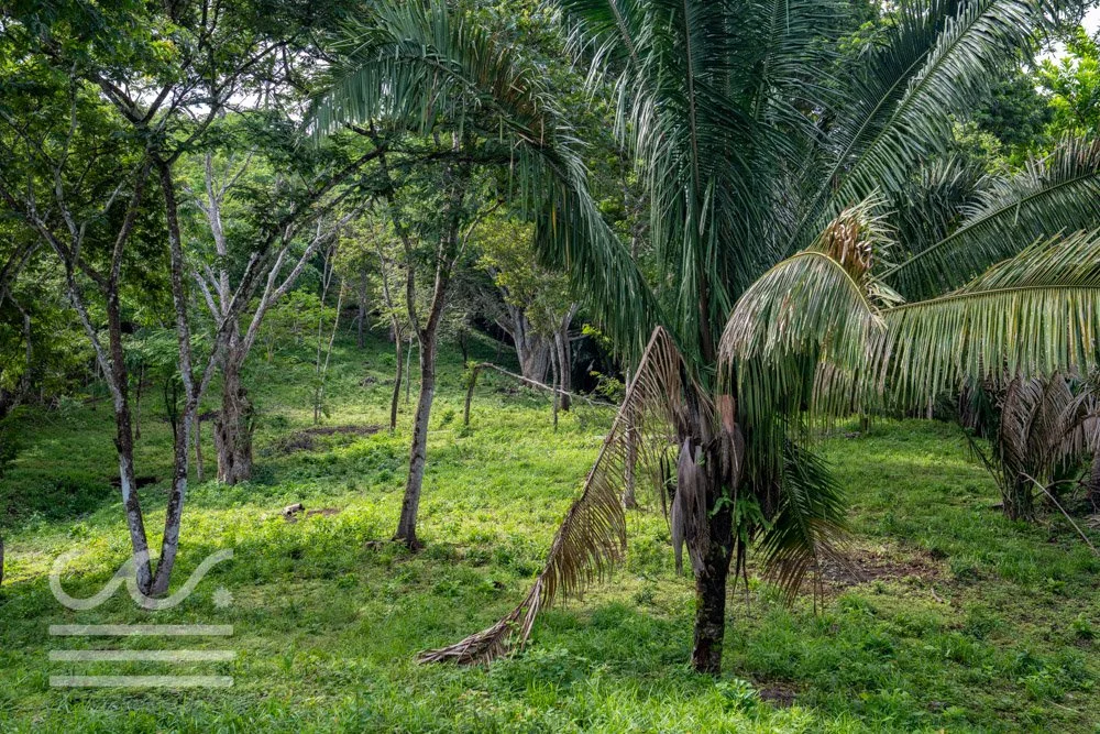 Finca Marberlla 1 y 2-14.jpg
