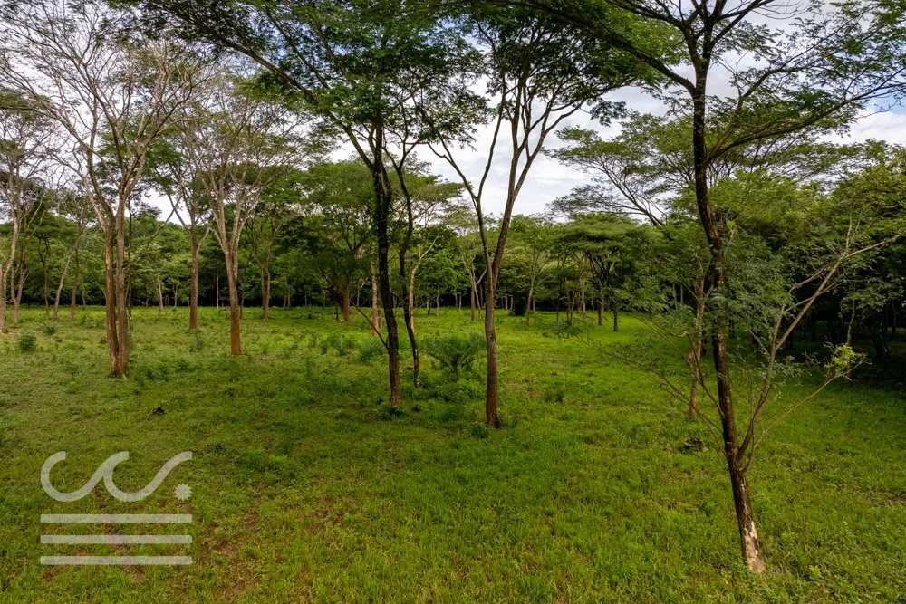 Finca Marberlla 1 y 2-16.jpg