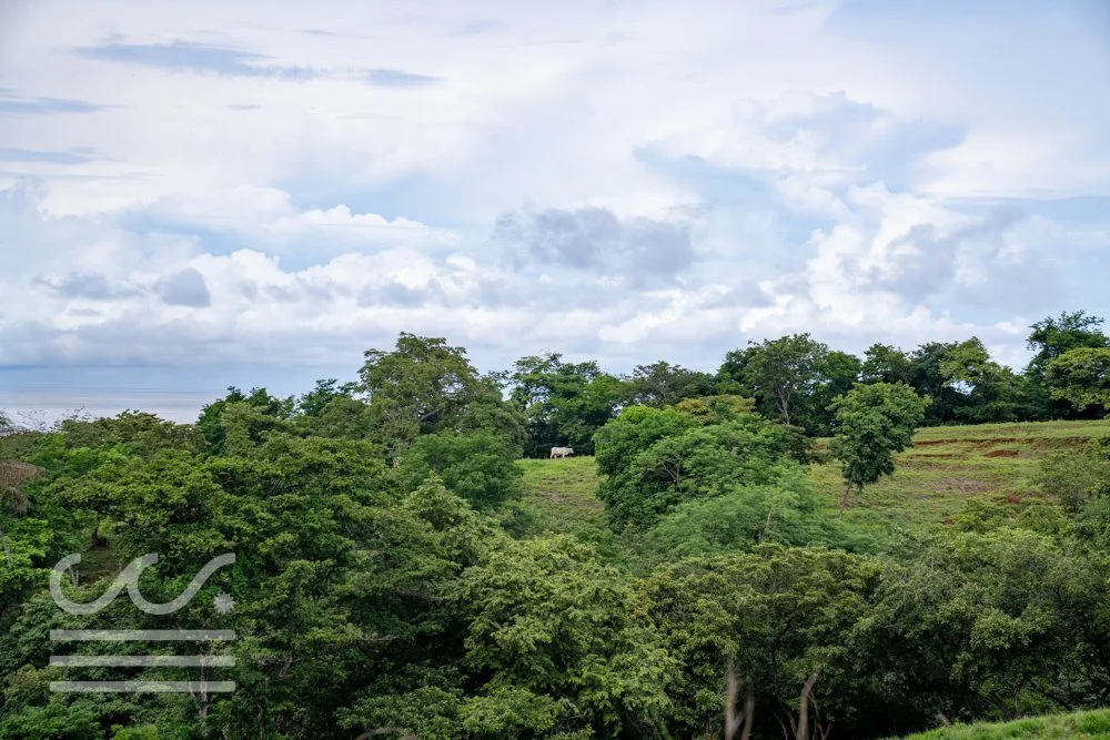 Finca Marberlla 1 y 2-18.jpg
