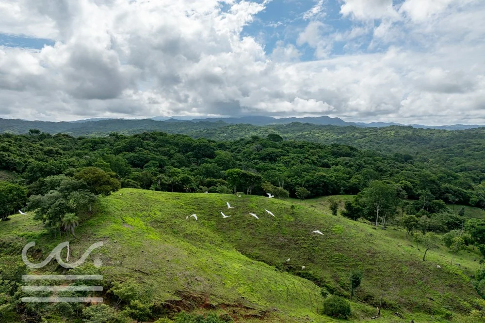 Finca Marberlla 1 y 2-21.jpg