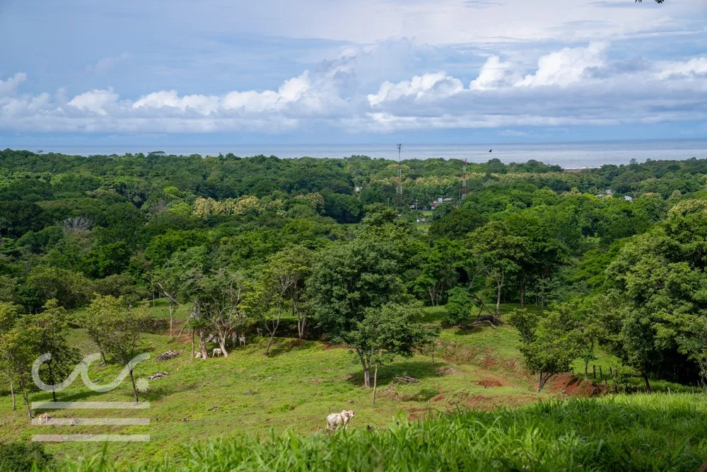Finca Marberlla 1 y 2-24.jpg