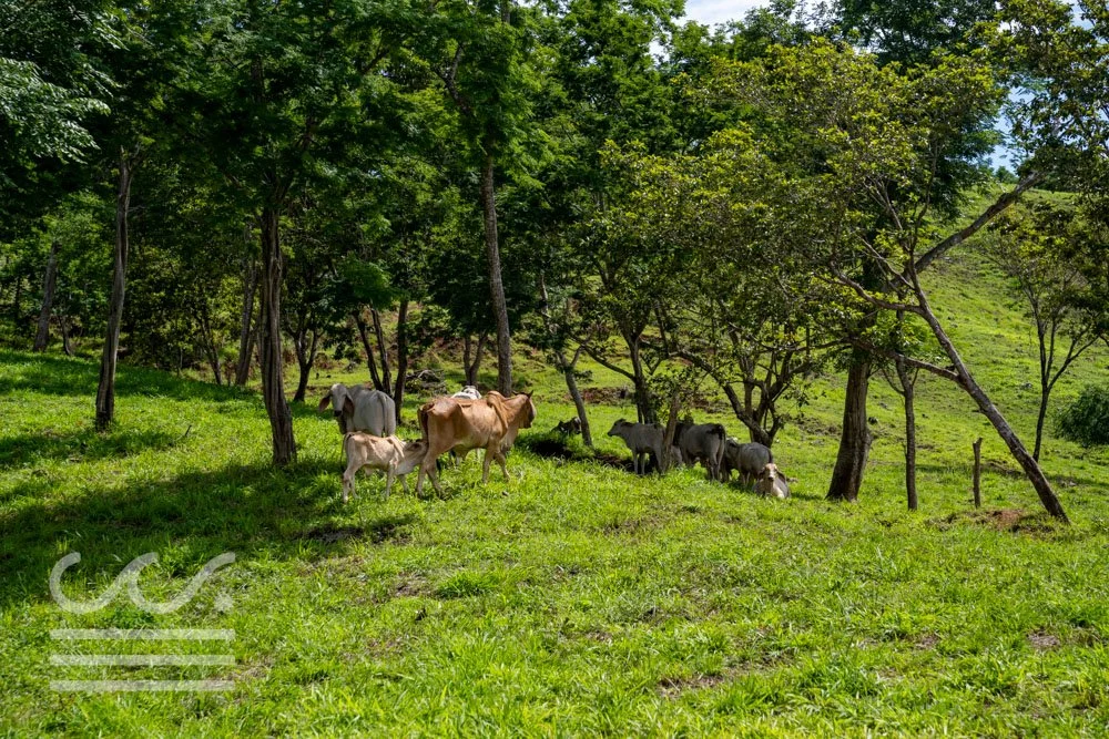 Finca Marberlla 1 y 2-26.jpg