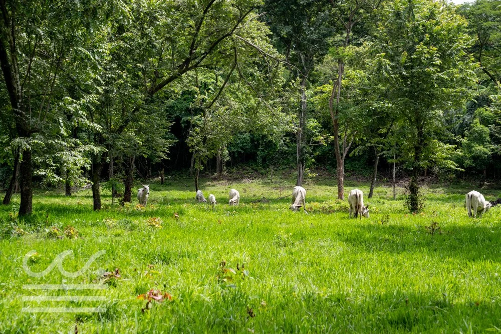 Finca Marberlla 1 y 2-29.jpg