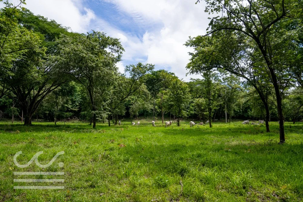 Finca Marberlla 1 y 2-30.jpg
