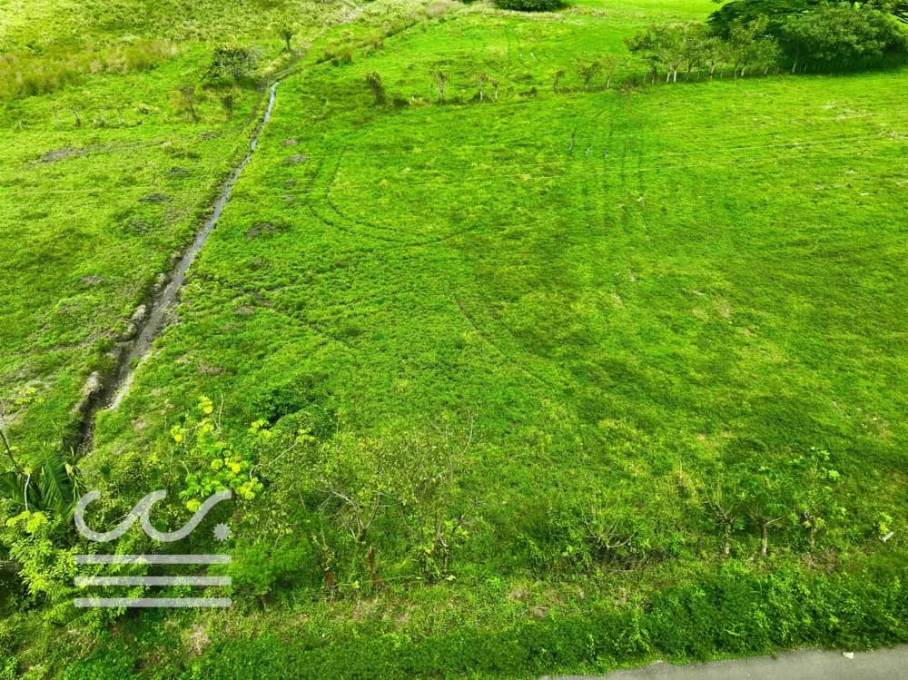 Finca Cacao roadside lots-Wanderlust-Sothebys-International-Realty-Nosara-Real-Estate-6.jpg