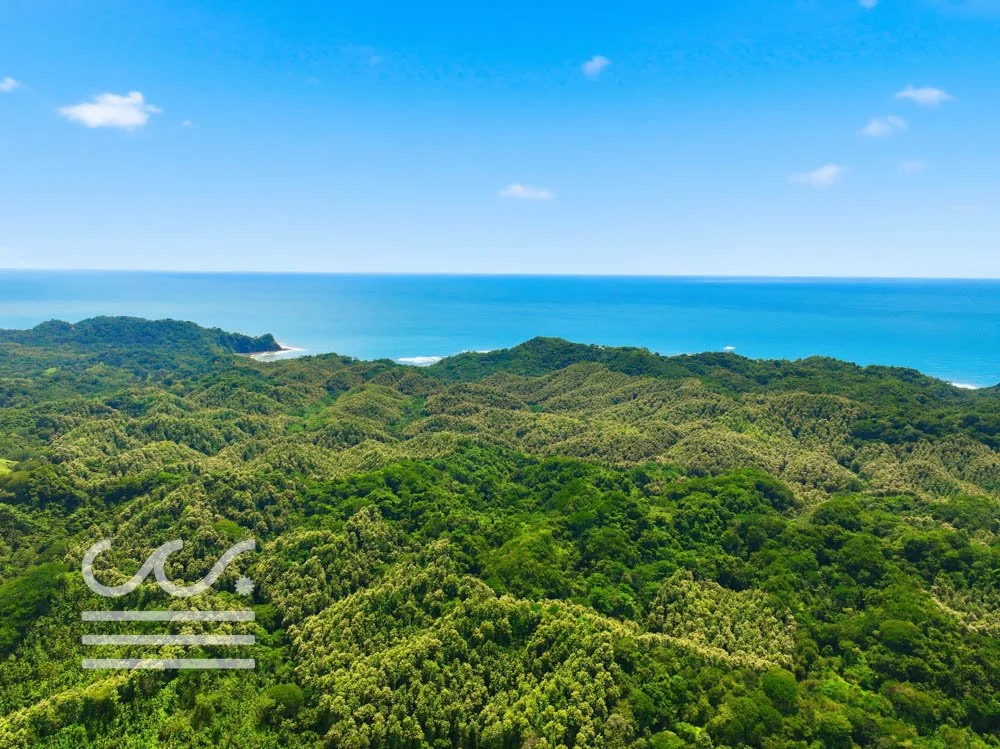Finca Cacao roadside lots-Wanderlust-Sothebys-International-Realty-Nosara-Real-Estate-9.jpg