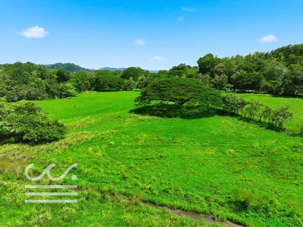 Finca Cacao roadside lots-Wanderlust-Sothebys-International-Realty-Nosara-Real-Estate-23.jpg