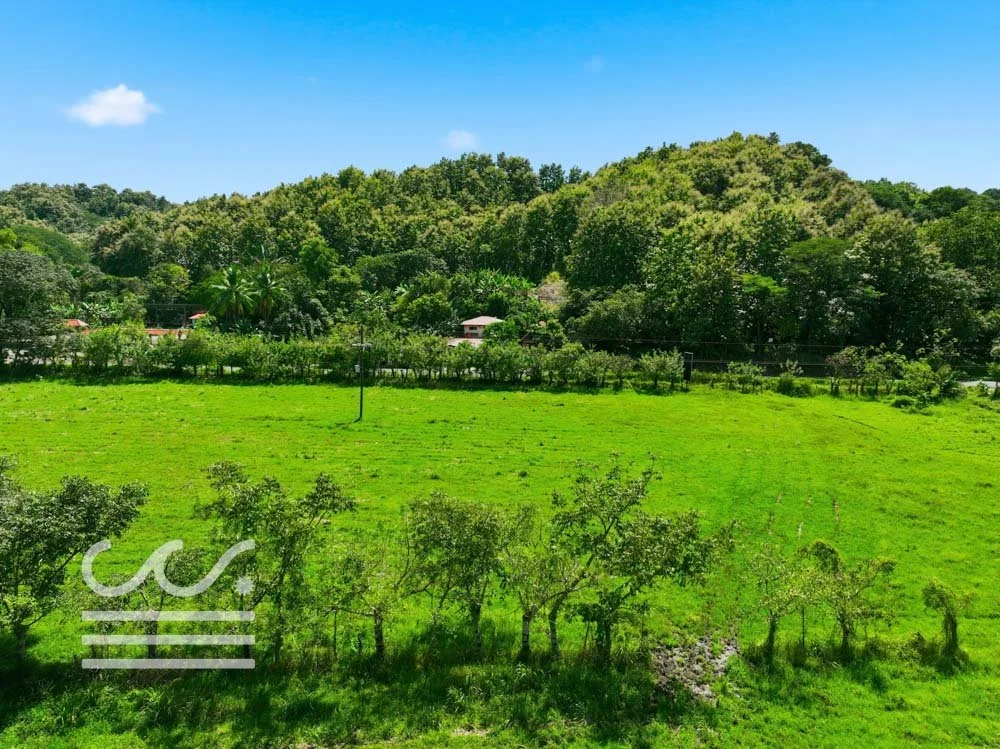Finca Cacao roadside lots-Wanderlust-Sothebys-International-Realty-Nosara-Real-Estate-26.jpg