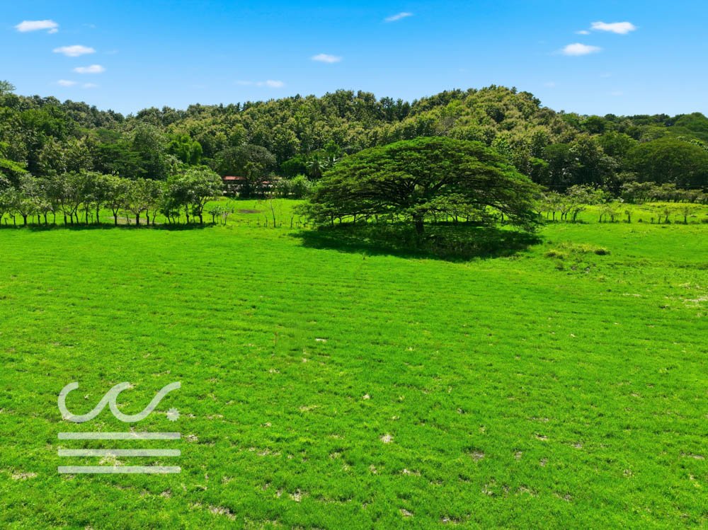 Finca Cacao roadside lots-Wanderlust-Sothebys-International-Realty-Nosara-Real-Estate-32.jpg