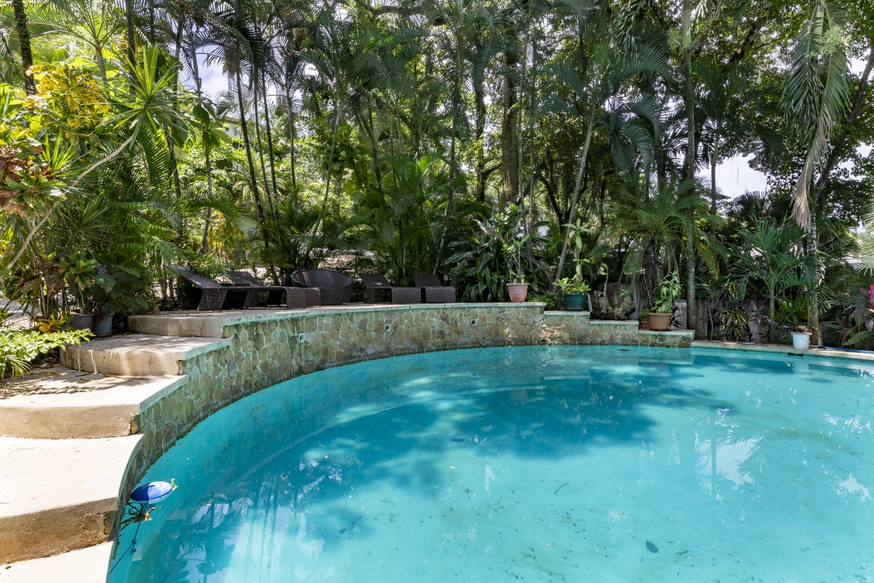 Chivo-Studio-Sothebys-International-Realty-Wanderlust-14.jpg