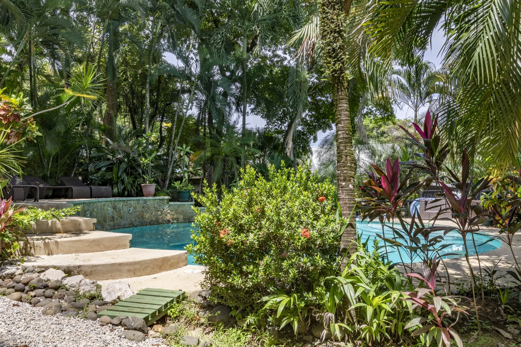Chivo-Studio-Sothebys-International-Realty-Wanderlust-15.jpg