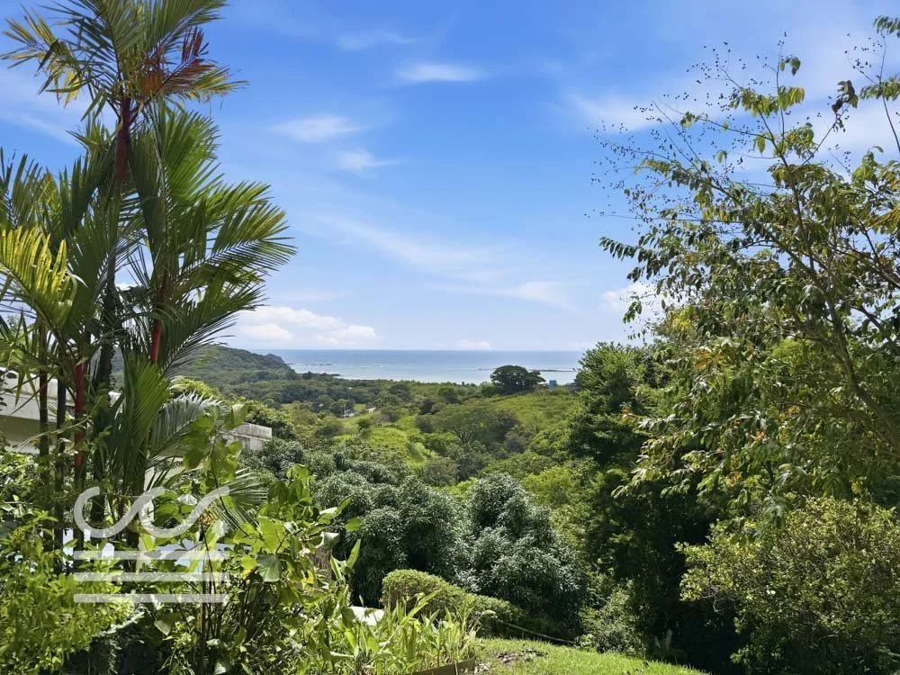 Casa Grande-Wanderlust-Sothebys-International-Realty-Nosara-Real-Estate-39.jpg