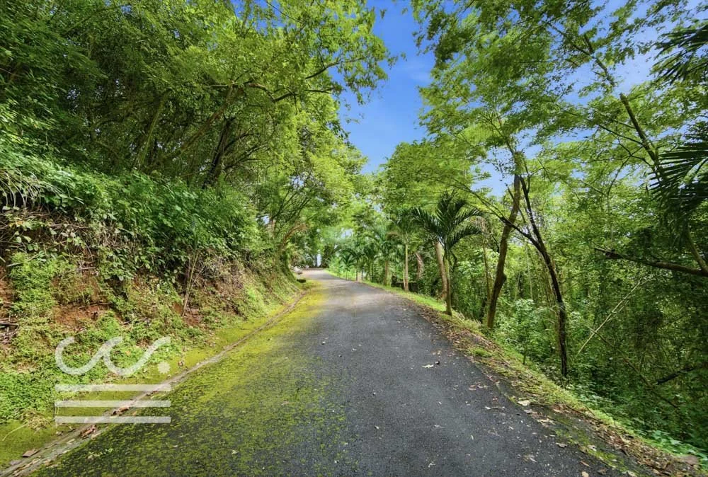 Casa Grande-Wanderlust-Sothebys-International-Realty-Nosara-Real-Estate-75.jpg