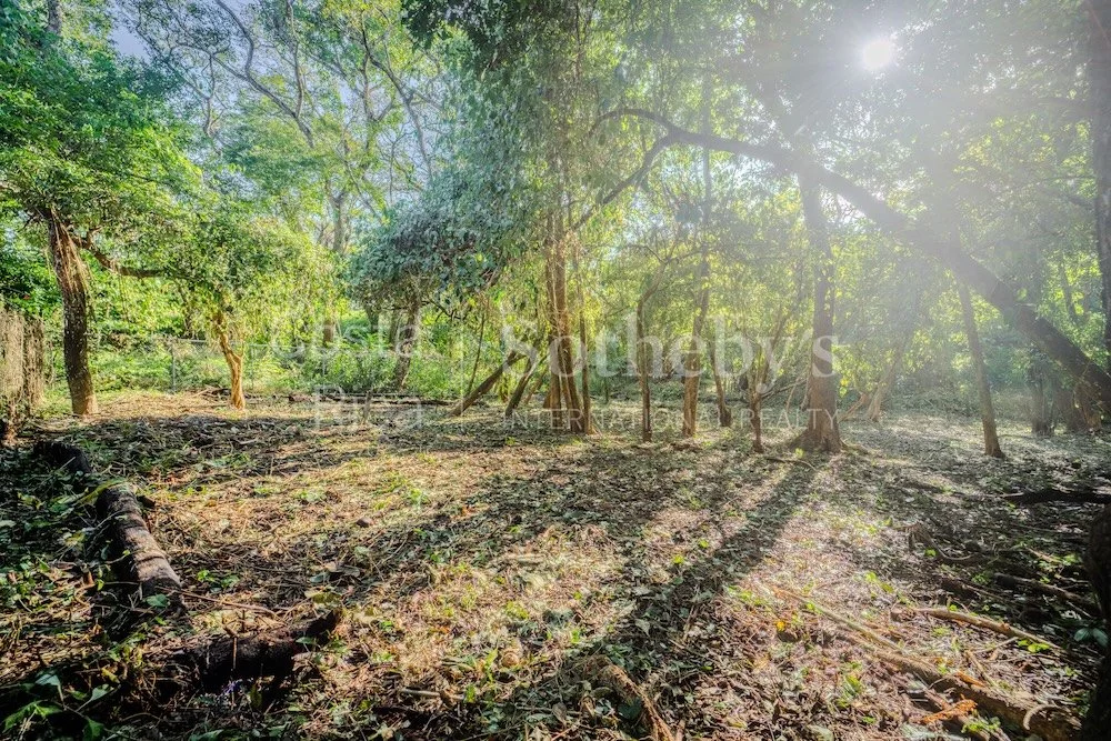 C-3-C-Wanderlust-Sothebys-International-Realty-Nosara-Real-Estate-3.jpg