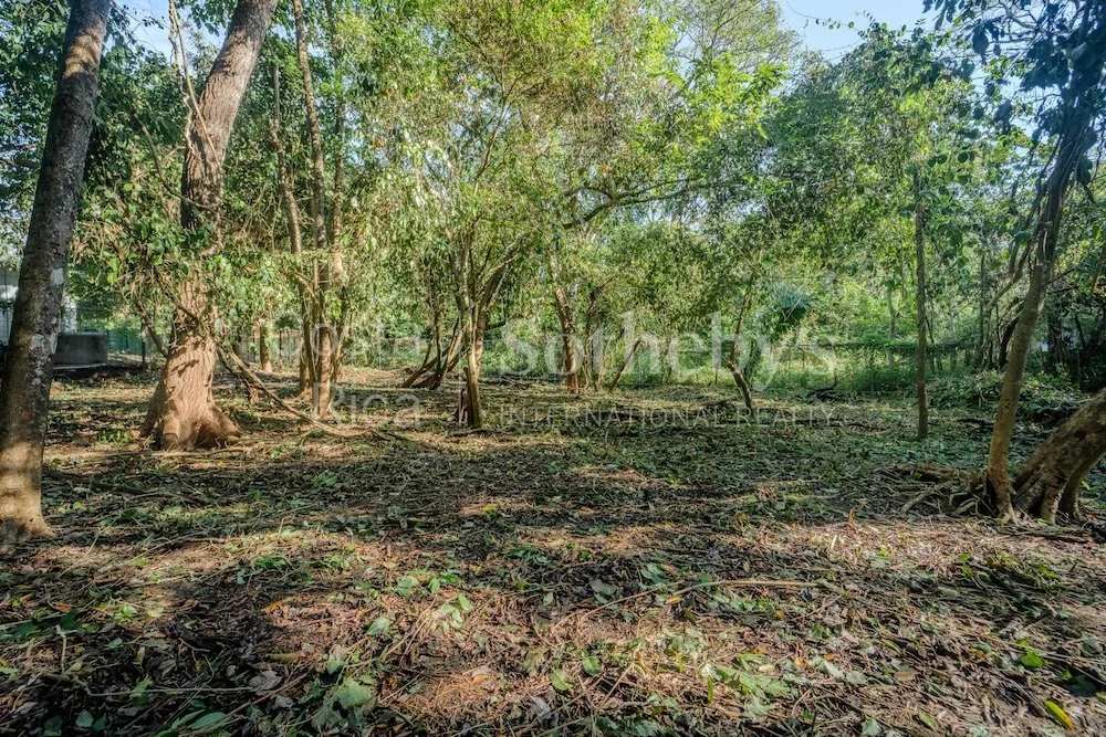 C-3-C-Wanderlust-Sothebys-International-Realty-Nosara-Real-Estate-5.jpg