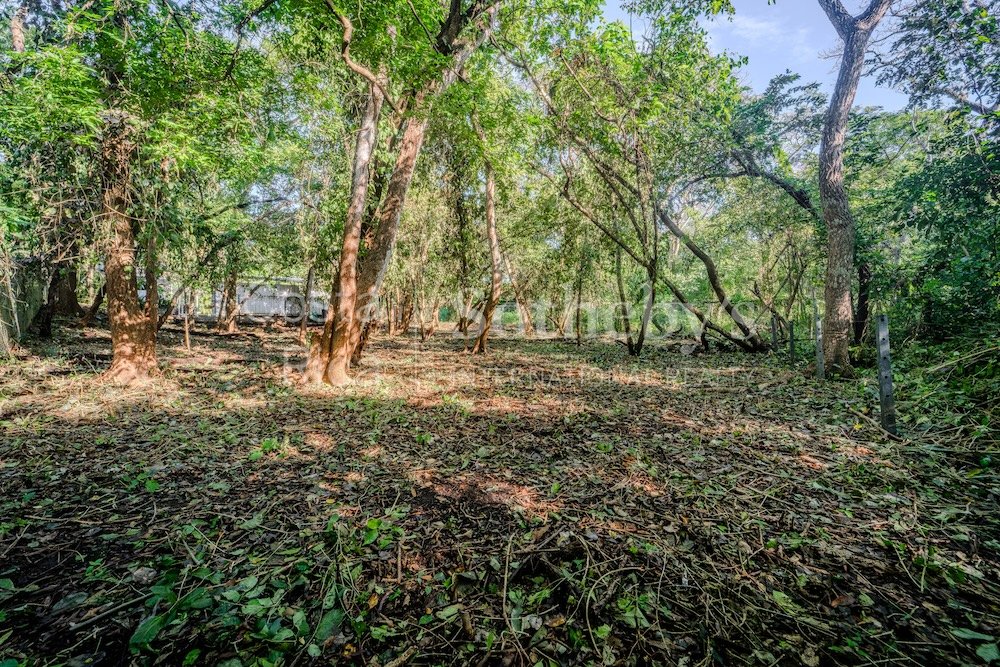 C-3-C-Wanderlust-Sothebys-International-Realty-Nosara-Real-Estate-6.jpg