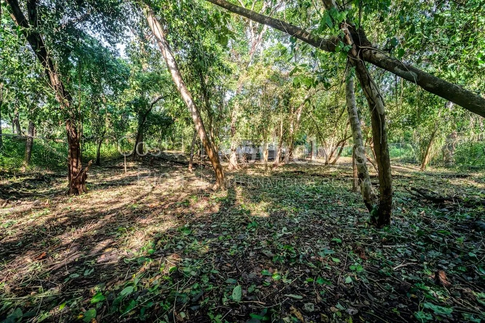 C-3-C-Wanderlust-Sothebys-International-Realty-Nosara-Real-Estate-7.jpg