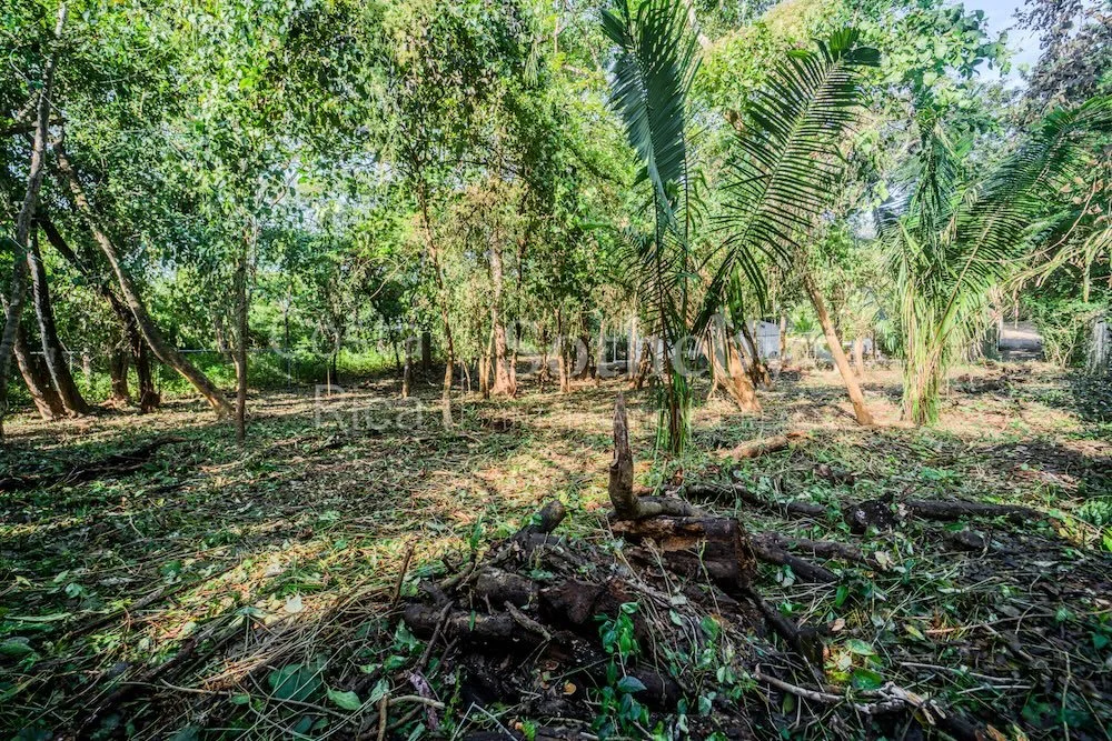 C-3-C-Wanderlust-Sothebys-International-Realty-Nosara-Real-Estate-8.jpg