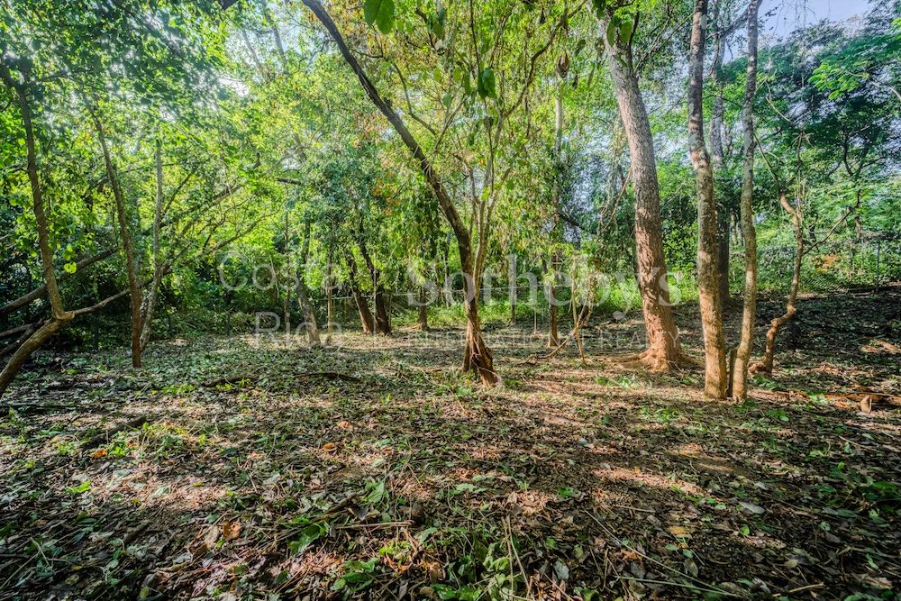C-3-C-Wanderlust-Sothebys-International-Realty-Nosara-Real-Estate-10.jpg