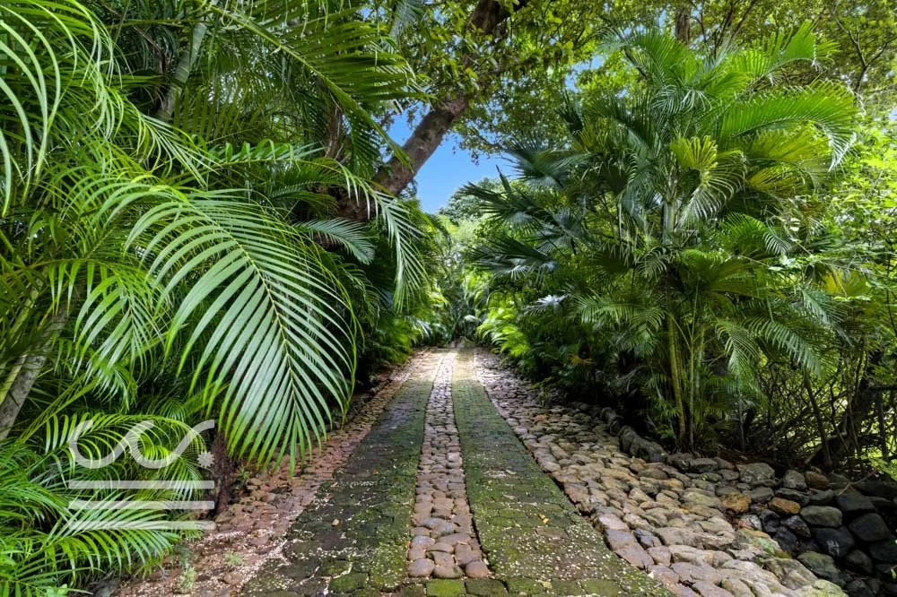 Clara Vista-Wanderlust-Sothebys-International-Realty-Nosara-Real-Estate-8.jpg