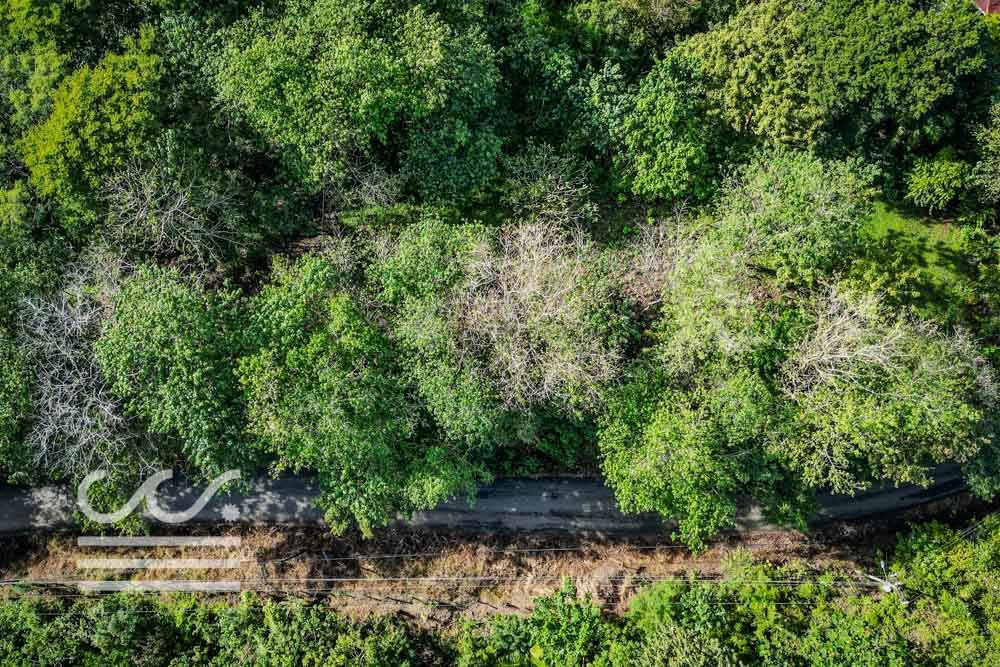 Lot-Front-Road-Marbella-San-Juanillo-Wanderlust-Sothebys-International-Realty-Nosara-Real-Estate-2.jpg