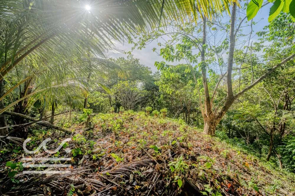 Lot-Front-Road-Marbella-San-Juanillo-Wanderlust-Sothebys-International-Realty-Nosara-Real-Estate-5.jpg
