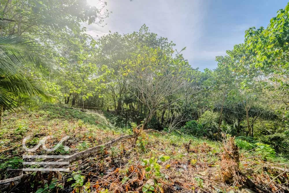 Lot-Front-Road-Marbella-San-Juanillo-Wanderlust-Sothebys-International-Realty-Nosara-Real-Estate-6.jpg