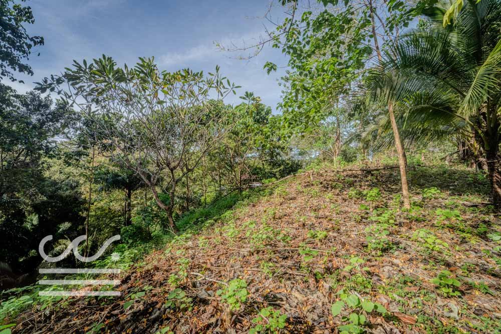 Lot-Front-Road-Marbella-San-Juanillo-Wanderlust-Sothebys-International-Realty-Nosara-Real-Estate-7.jpg