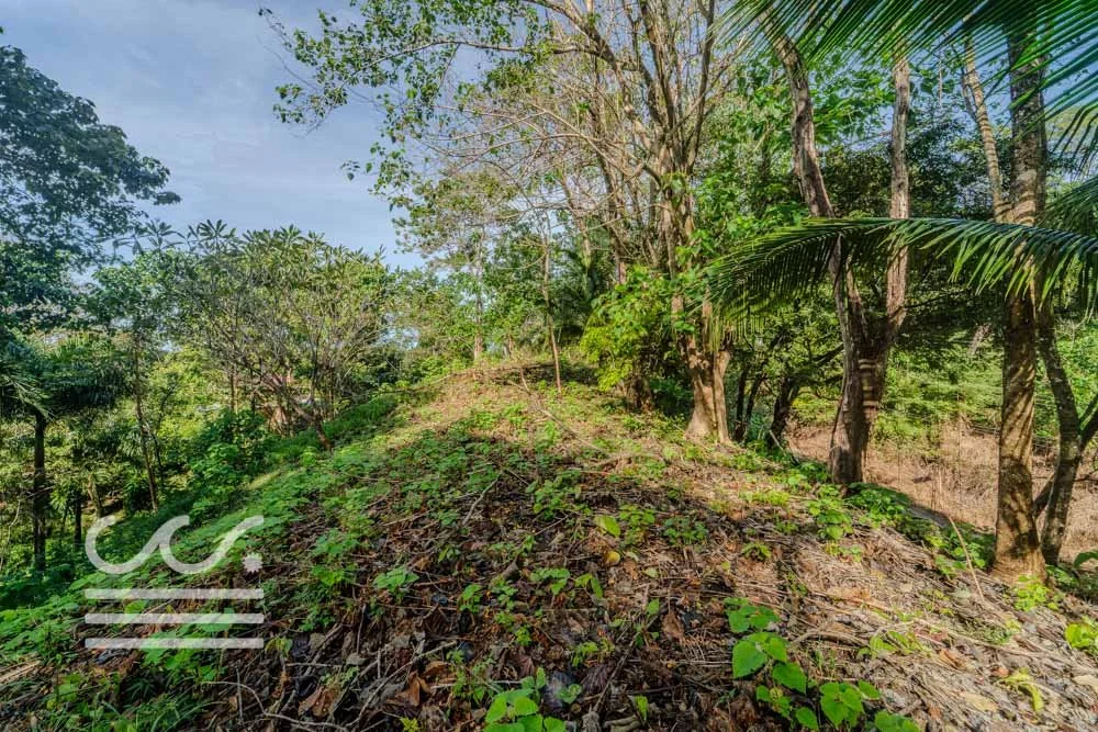 Lot-Front-Road-Marbella-San-Juanillo-Wanderlust-Sothebys-International-Realty-Nosara-Real-Estate-8.jpg