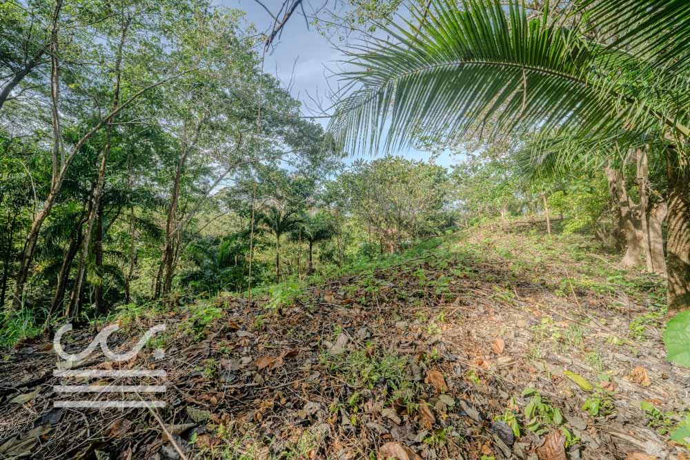 Lot-Front-Road-Marbella-San-Juanillo-Wanderlust-Sothebys-International-Realty-Nosara-Real-Estate-9.jpg