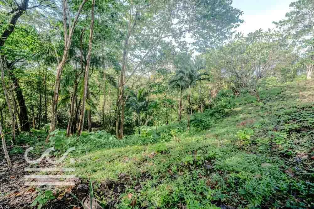 Lot-Front-Road-Marbella-San-Juanillo-Wanderlust-Sothebys-International-Realty-Nosara-Real-Estate-10.jpg