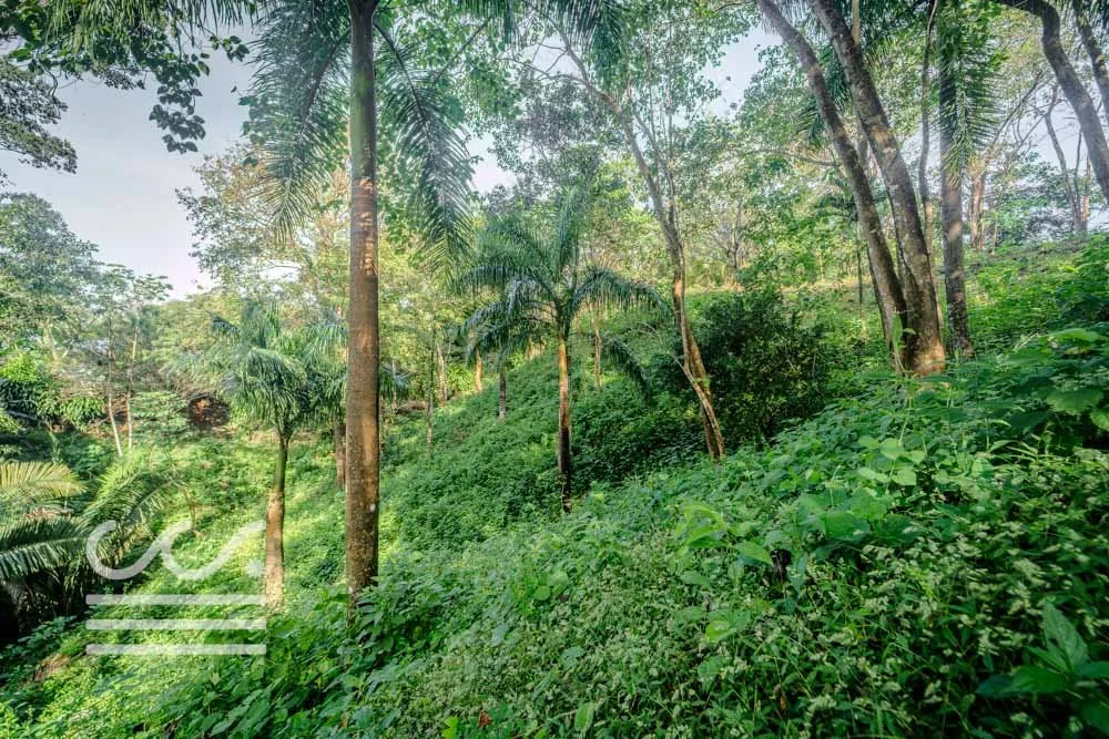 Lot-Front-Road-Marbella-San-Juanillo-Wanderlust-Sothebys-International-Realty-Nosara-Real-Estate-11.jpg