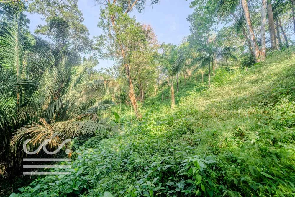 Lot-Front-Road-Marbella-San-Juanillo-Wanderlust-Sothebys-International-Realty-Nosara-Real-Estate-12.jpg