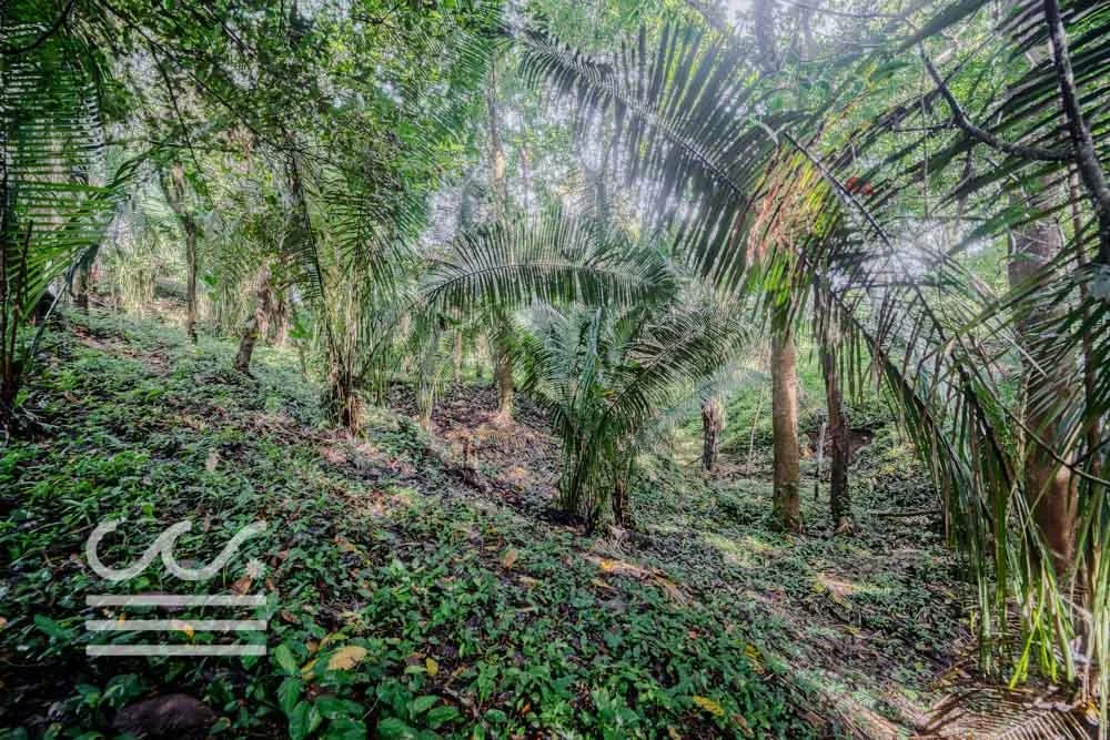 Lot-Front-Road-Marbella-San-Juanillo-Wanderlust-Sothebys-International-Realty-Nosara-Real-Estate-13.jpg