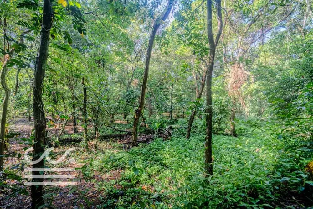 Lot-Front-Road-Marbella-San-Juanillo-Wanderlust-Sothebys-International-Realty-Nosara-Real-Estate-14.jpg