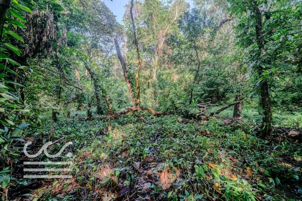 Lot-Front-Road-Marbella-San-Juanillo-Wanderlust-Sothebys-International-Realty-Nosara-Real-Estate-15.jpg