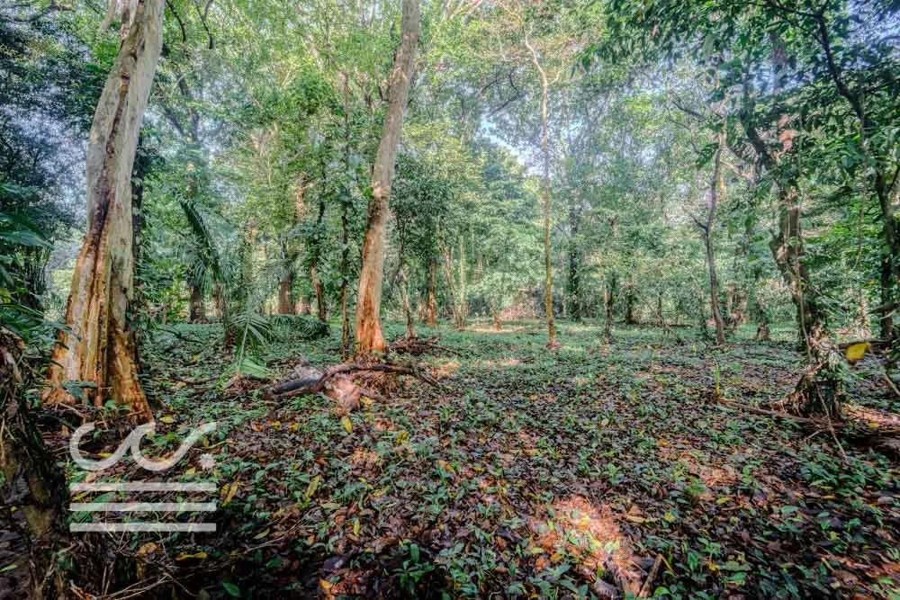 Lot-Front-Road-Marbella-San-Juanillo-Wanderlust-Sothebys-International-Realty-Nosara-Real-Estate-16.jpg