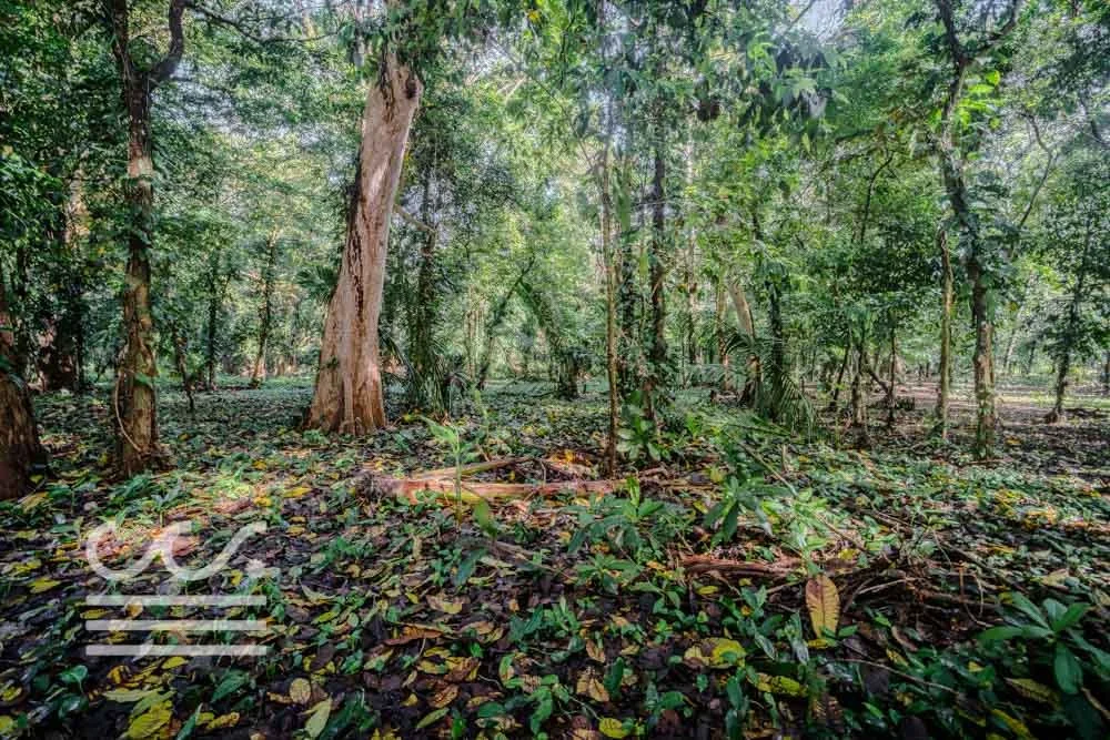 Lot-Front-Road-Marbella-San-Juanillo-Wanderlust-Sothebys-International-Realty-Nosara-Real-Estate-17.jpg