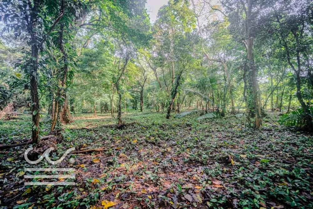 Lot-Front-Road-Marbella-San-Juanillo-Wanderlust-Sothebys-International-Realty-Nosara-Real-Estate-19.jpg