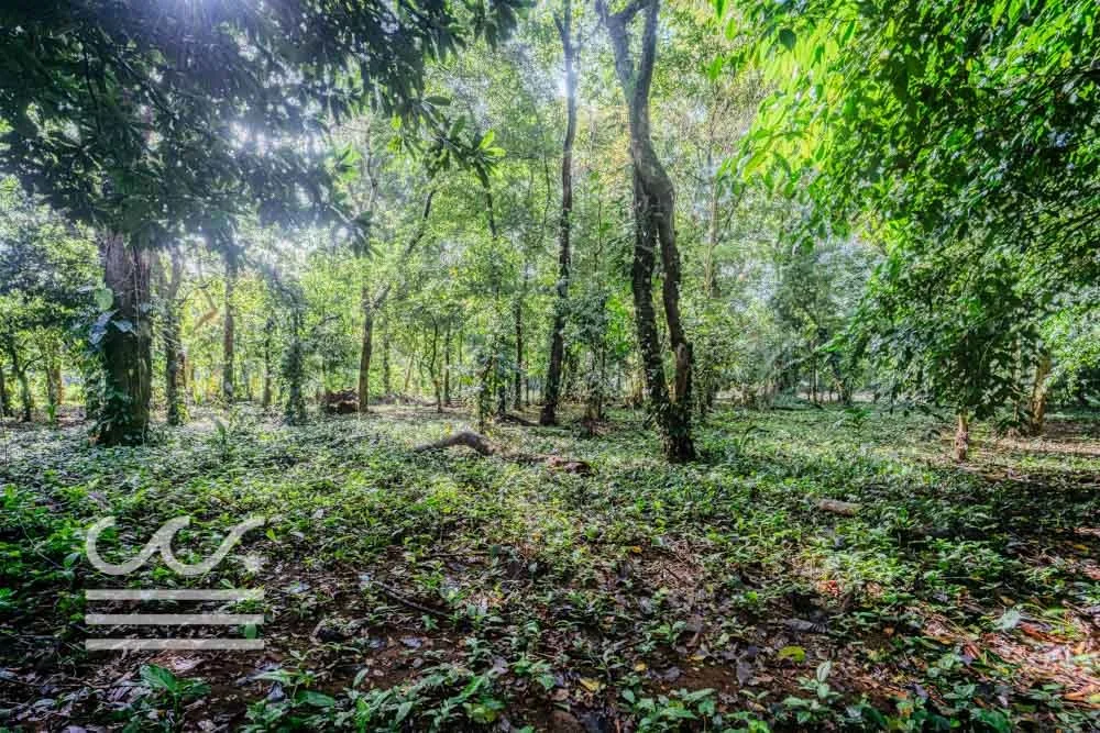 Lot-Front-Road-Marbella-San-Juanillo-Wanderlust-Sothebys-International-Realty-Nosara-Real-Estate-22.jpg