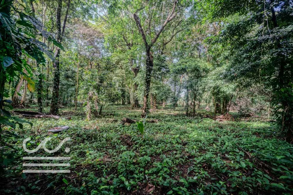 Lot-Front-Road-Marbella-San-Juanillo-Wanderlust-Sothebys-International-Realty-Nosara-Real-Estate-23.jpg
